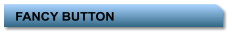FANCY BUTTON